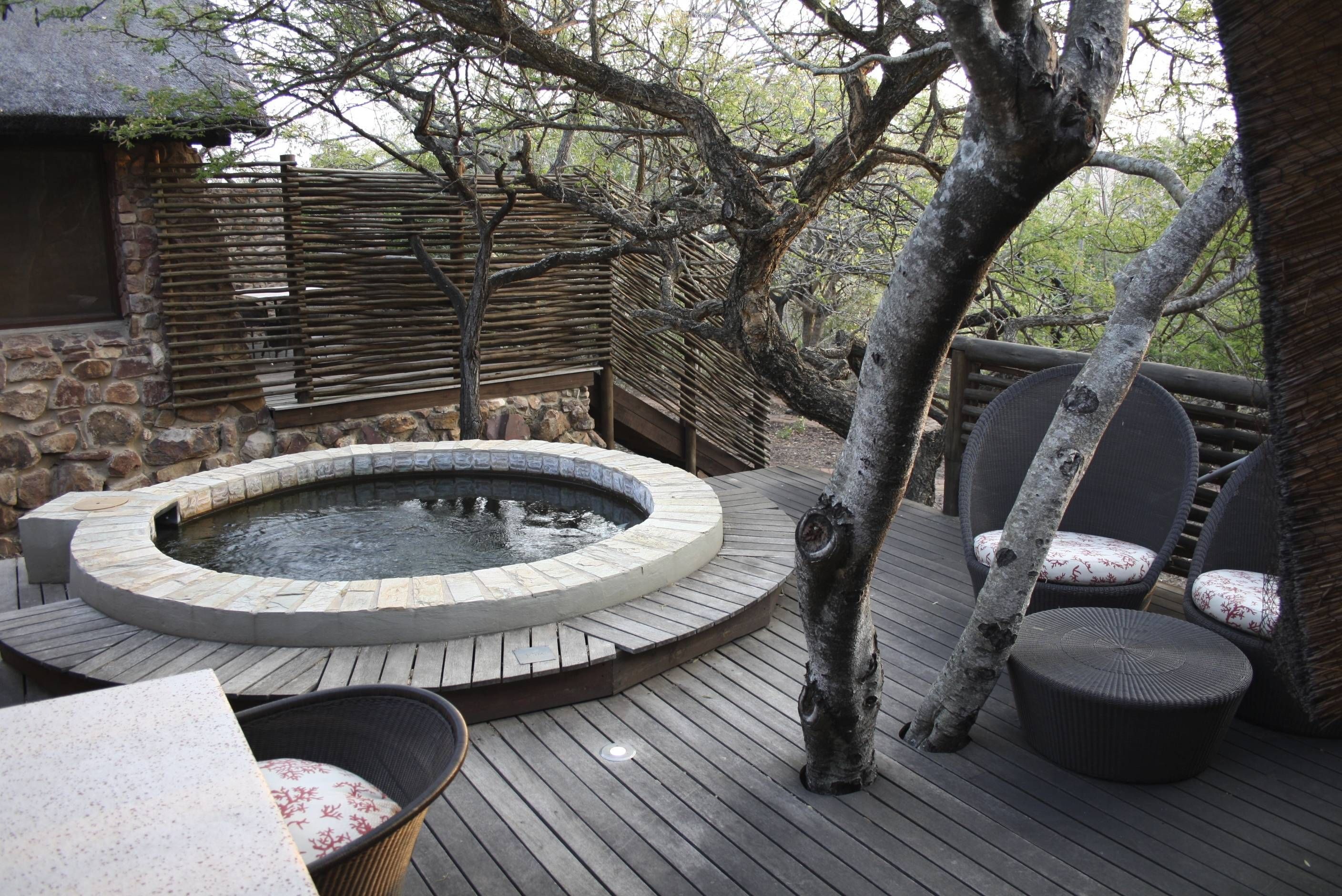 Phinda Mountain Lodge andBeyond