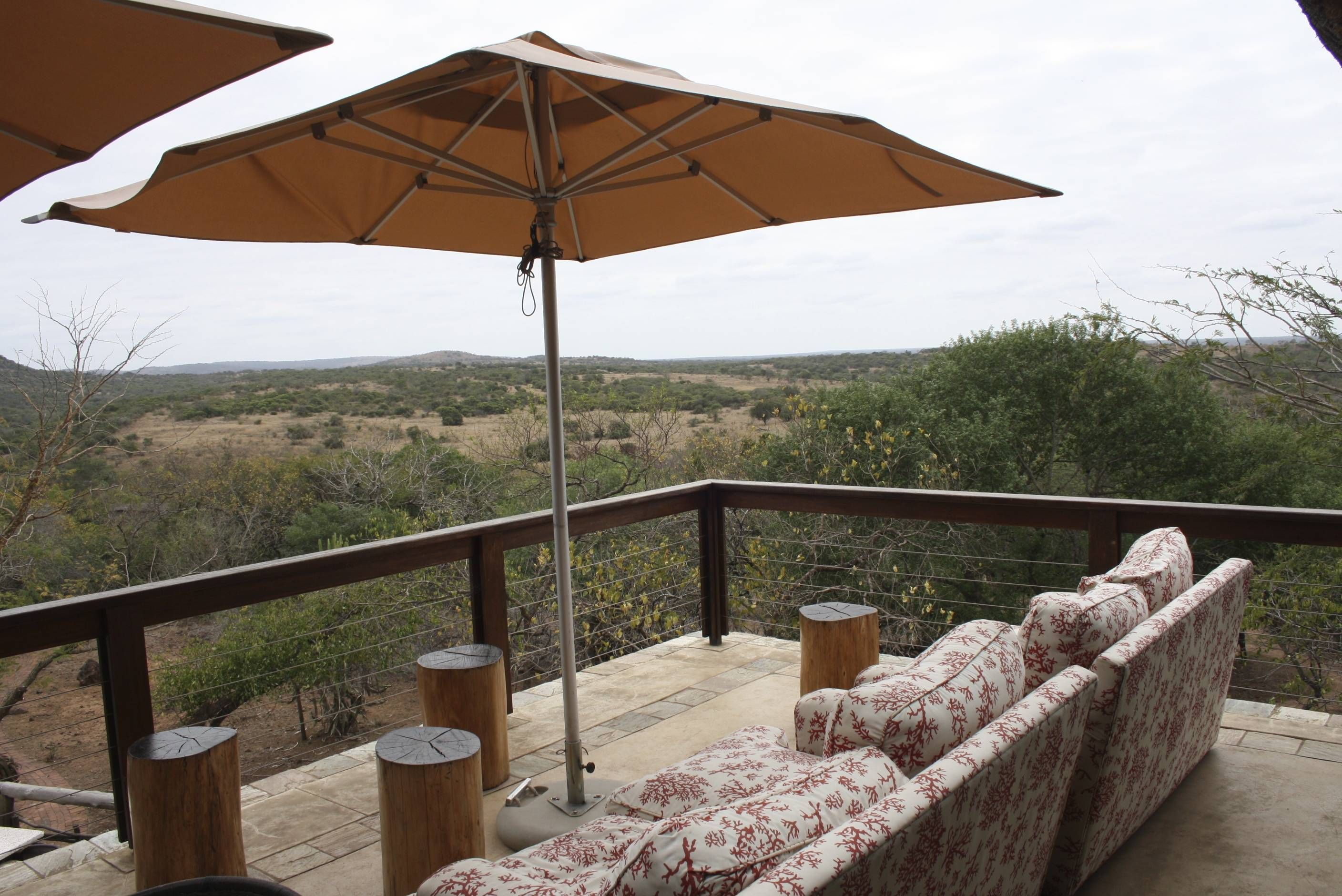 Phinda Mountain Lodge andBeyond