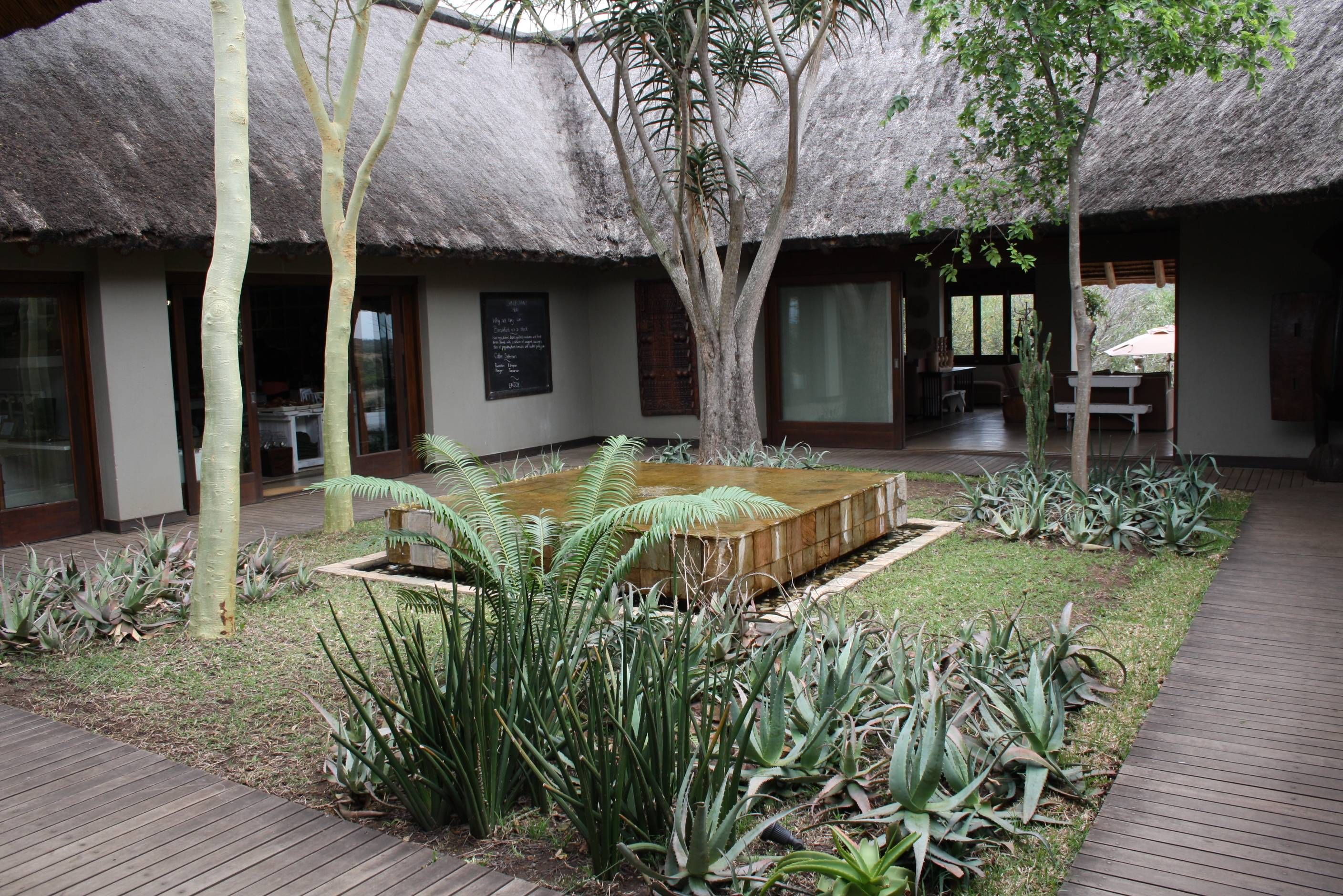 Phinda Mountain Lodge andBeyond