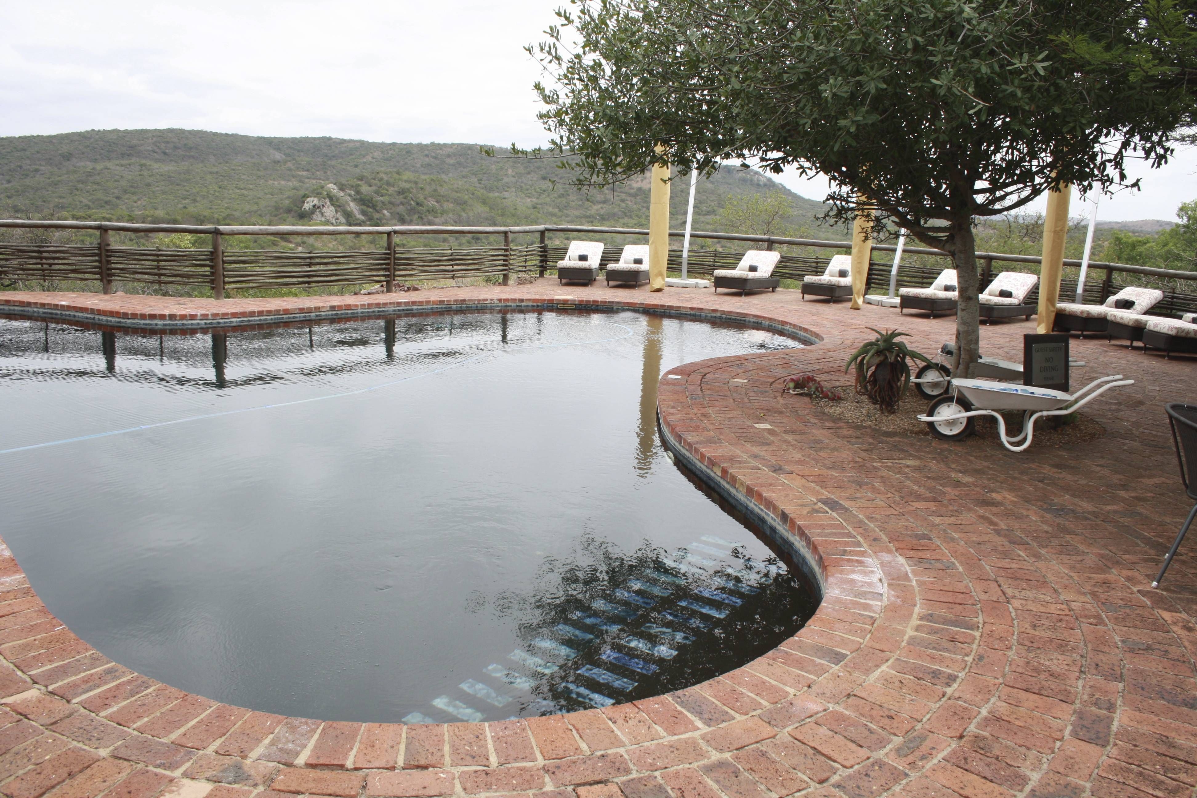 Phinda Mountain Lodge andBeyond