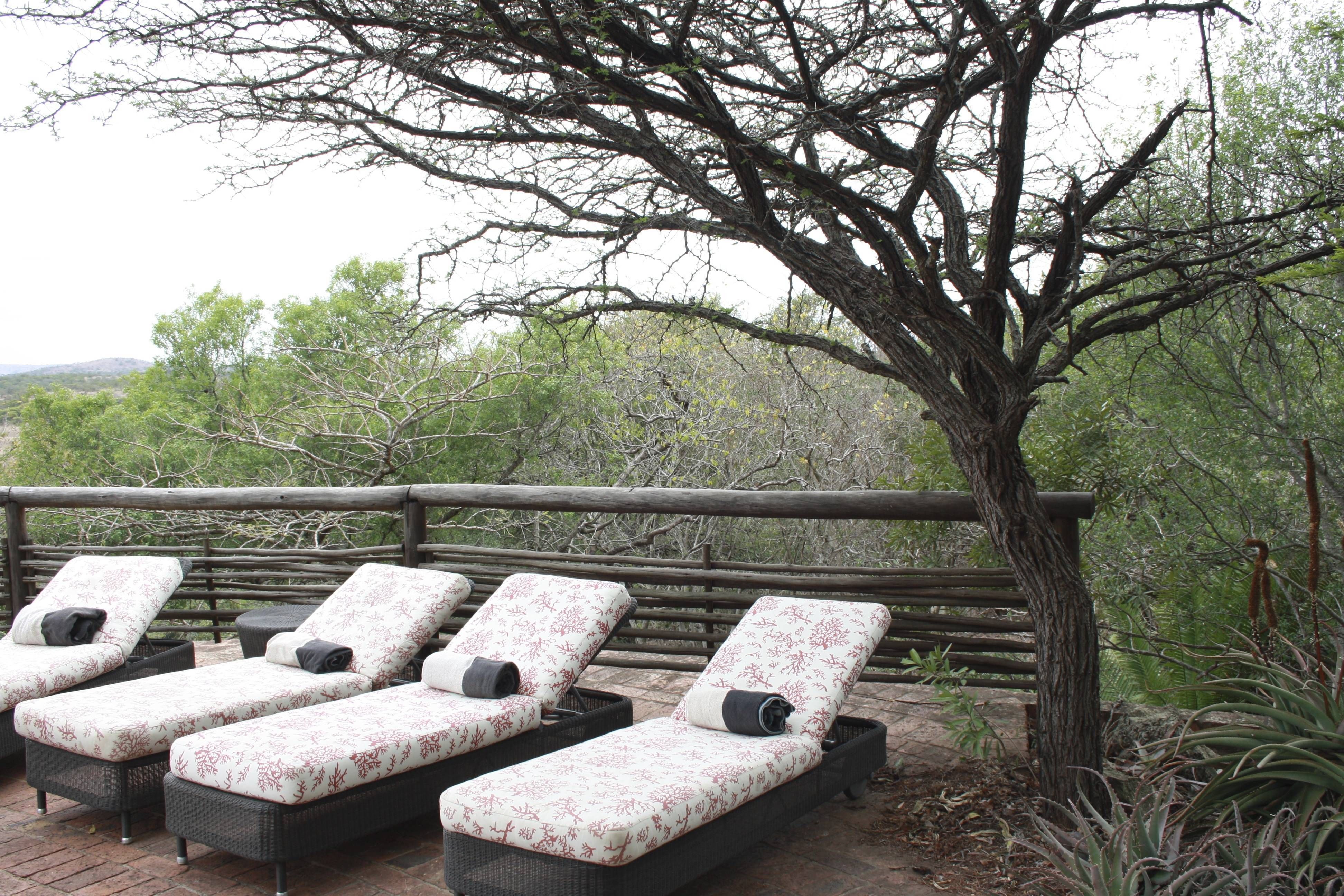 Phinda Mountain Lodge andBeyond