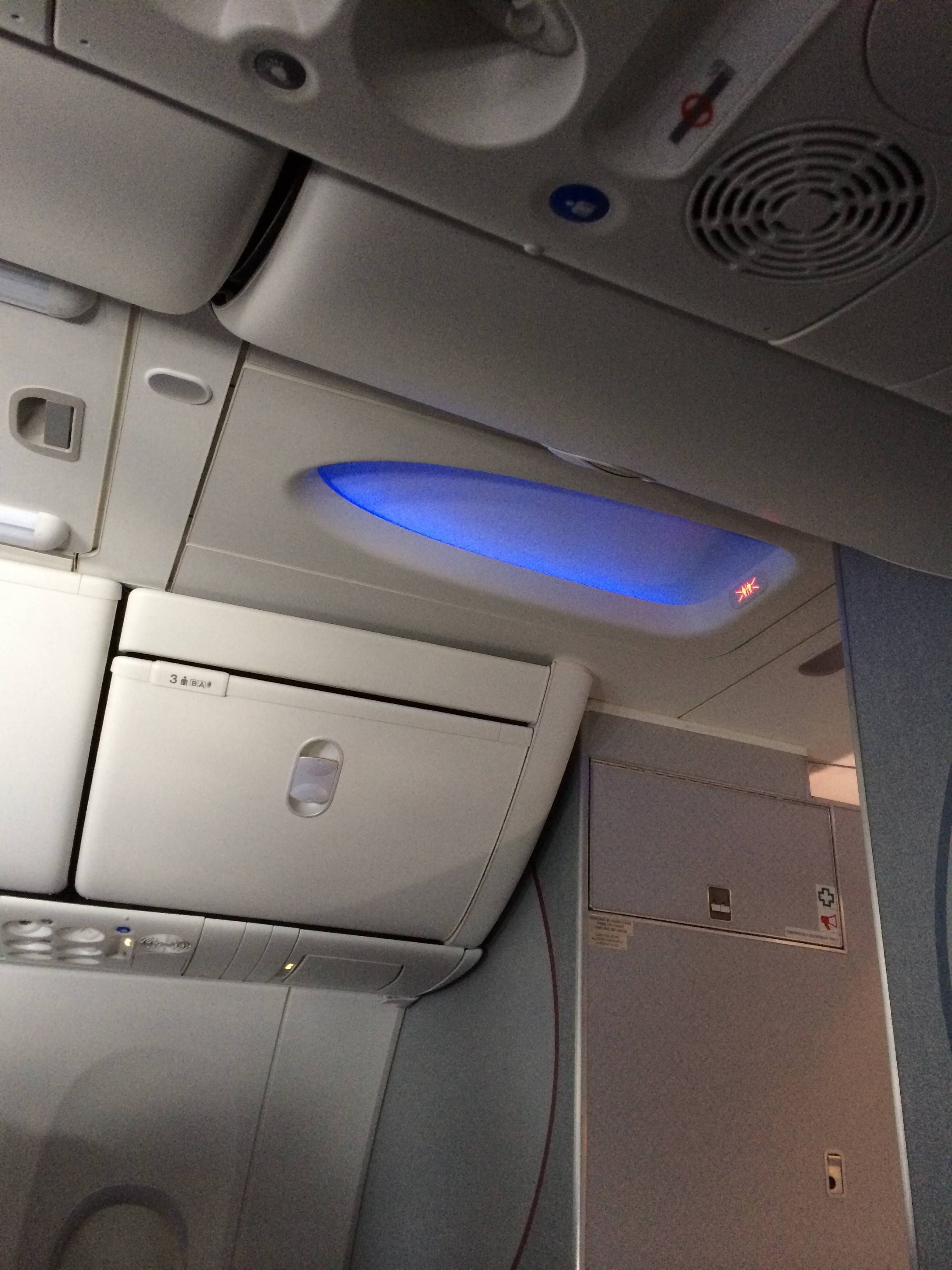 American Airlines First Class 737-800 Sky Interior