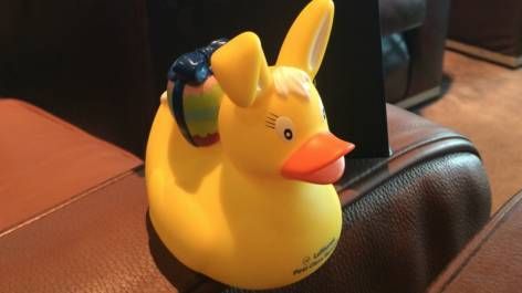 Conclusão - Saga pelo patinho