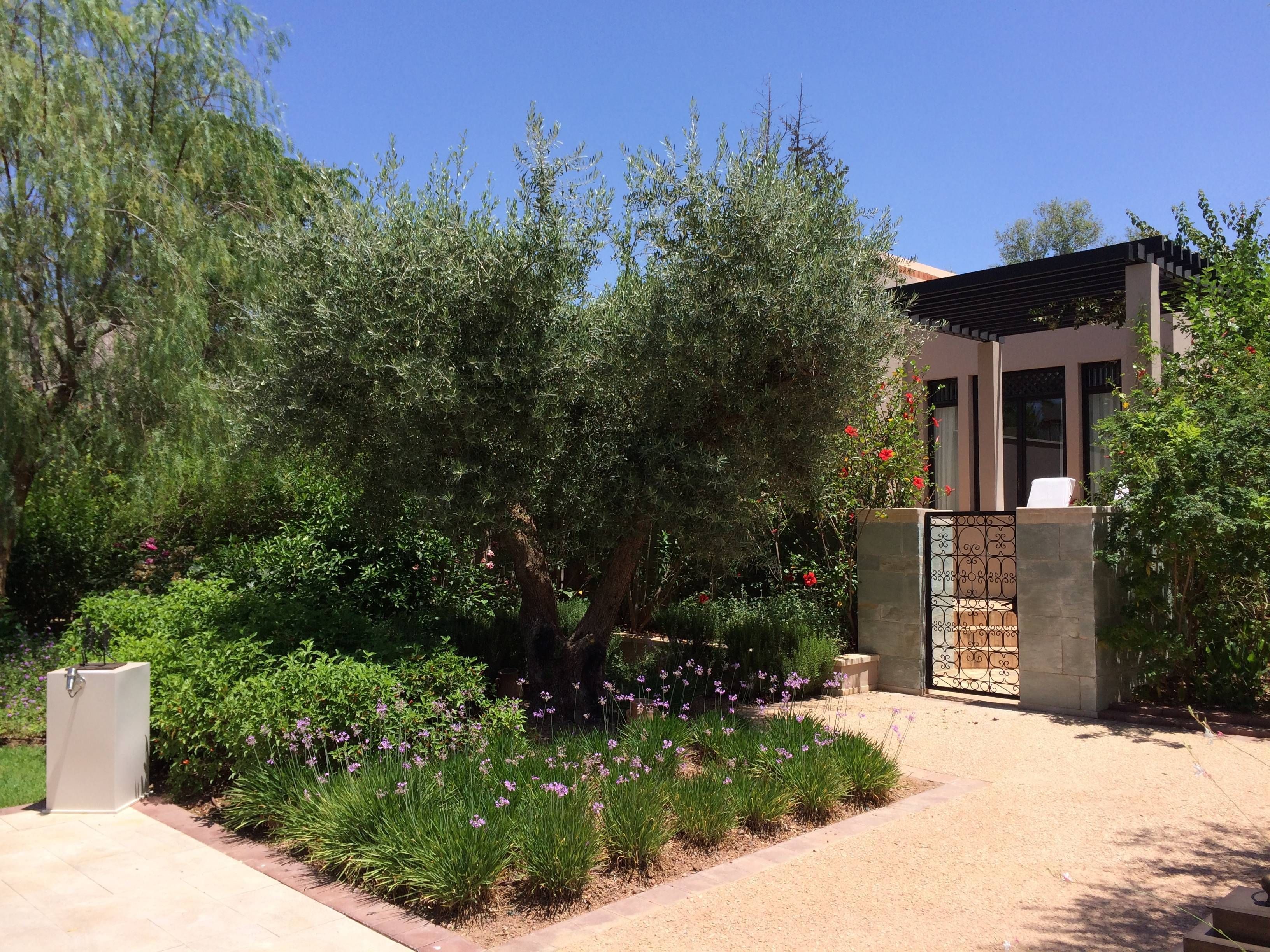 four seasons resort marrakech passageirodeprimeira