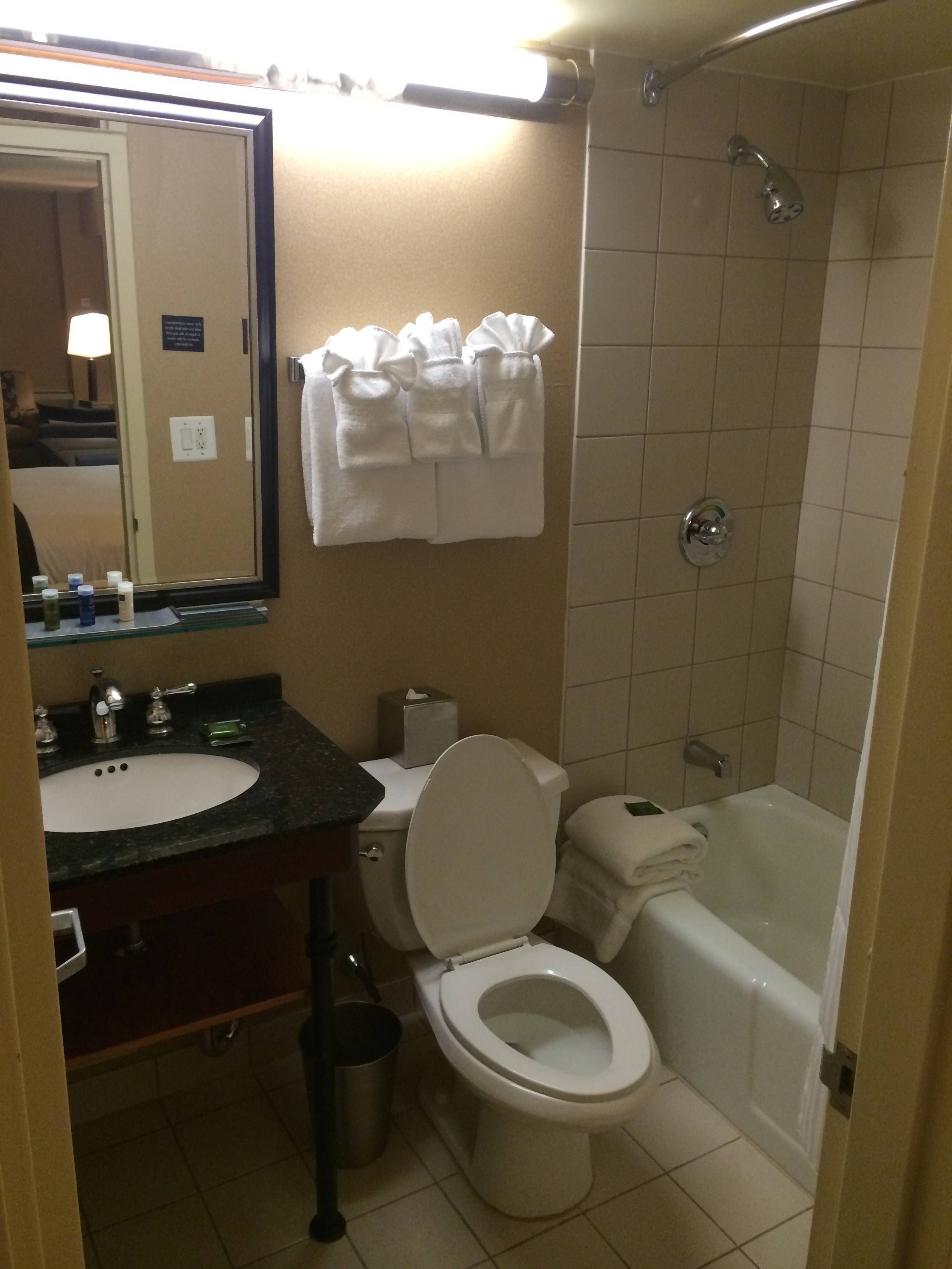 Radisson JFK AIrport passageirodeprimeira