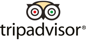 trip-advisor- logo