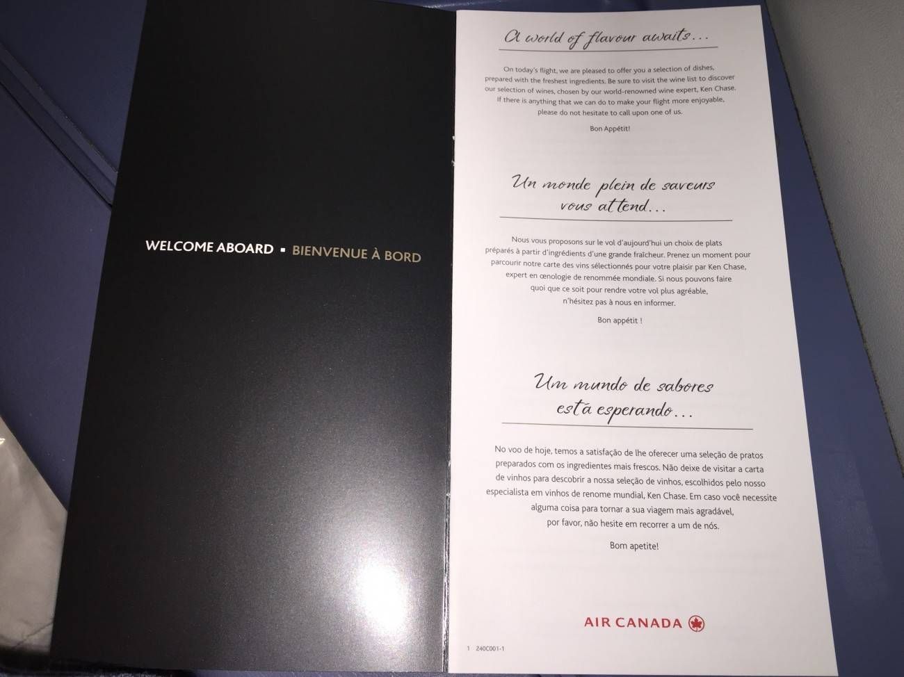 Air Canada B777 Business Class-09