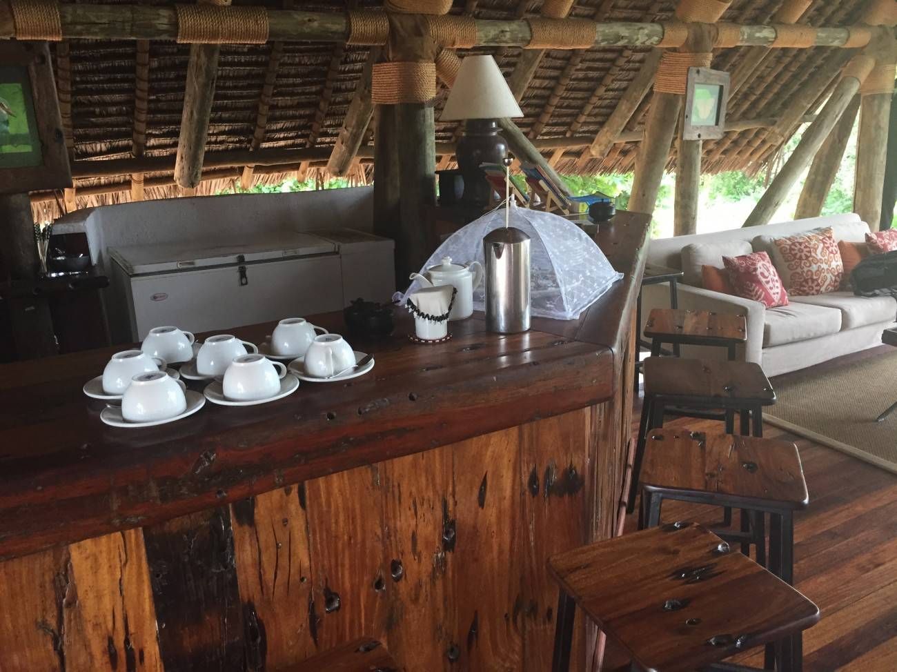 Jongomero Selous -029