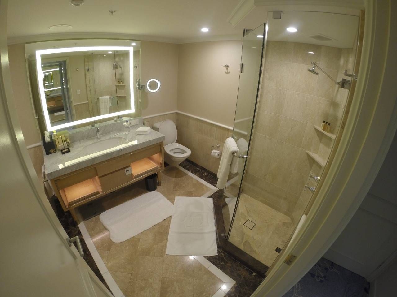 DCIM100GOPRO