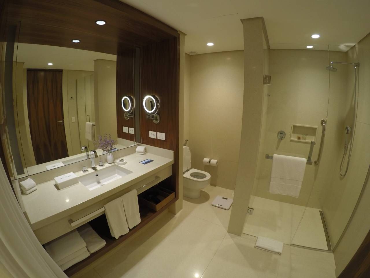 DCIM101GOPROGOPR3480.