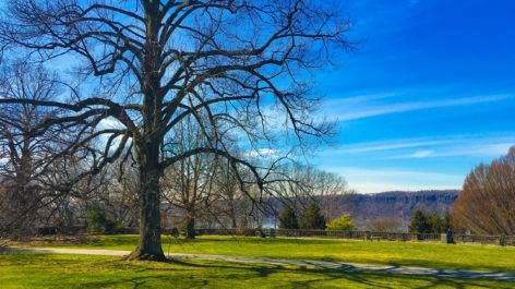 Atrações em Nova York - O que fiz por lá