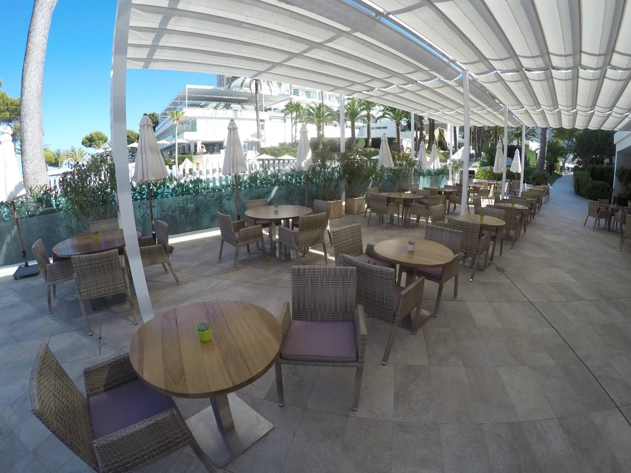 DCIM103GOPROGOPR0819.