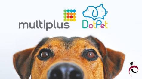 Black Friday para seu Pet: acumule 7 pts Multiplus por Real na DotPet