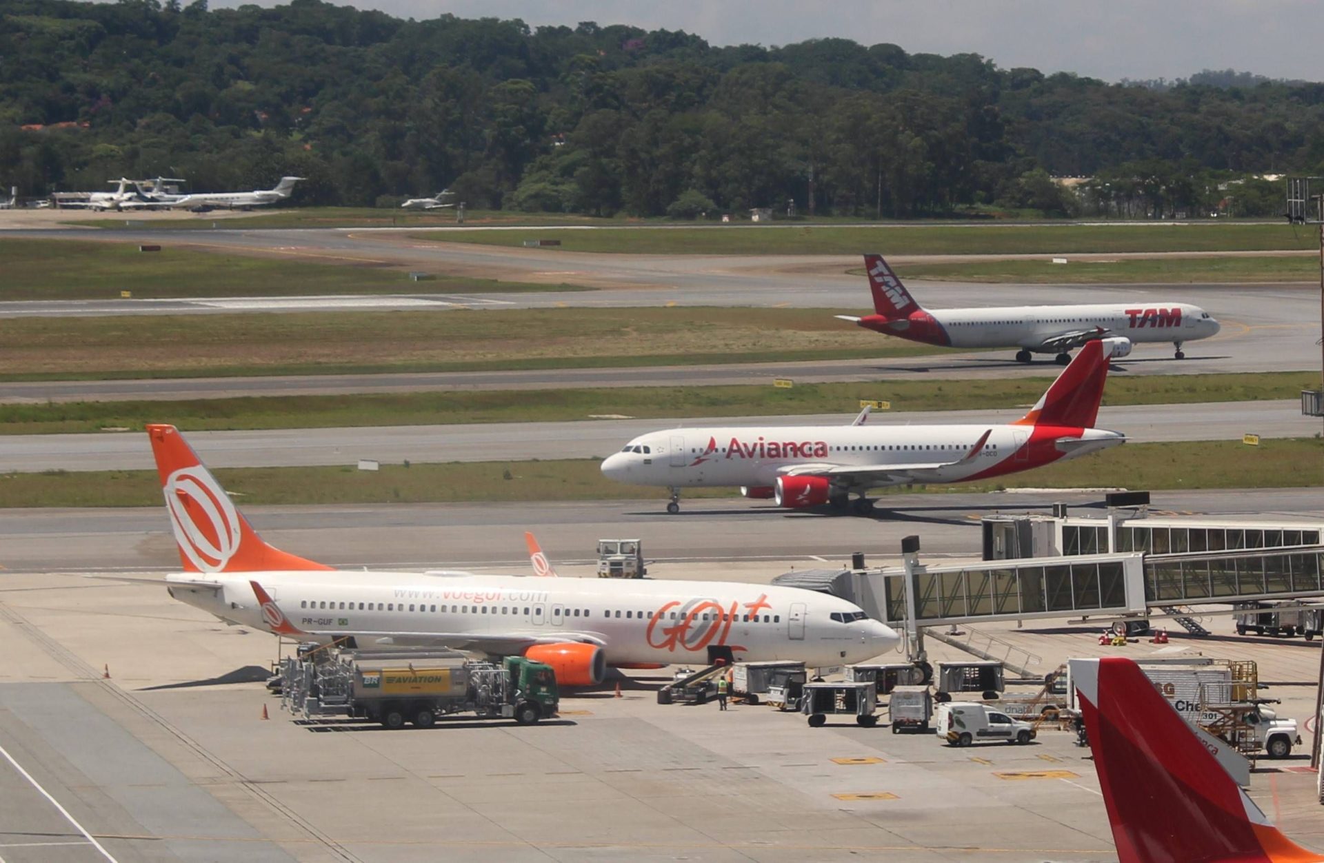 avianca gol abra a350