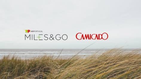 TAP anuncia parceria com a Camicado para acúmulo de milhas no Miles&Go