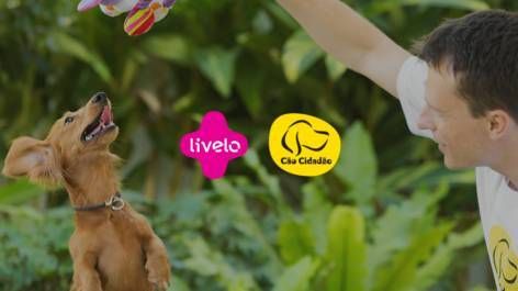 Livelo oferece 10 pontos por real gasto em cursos online na Cão Cidadão