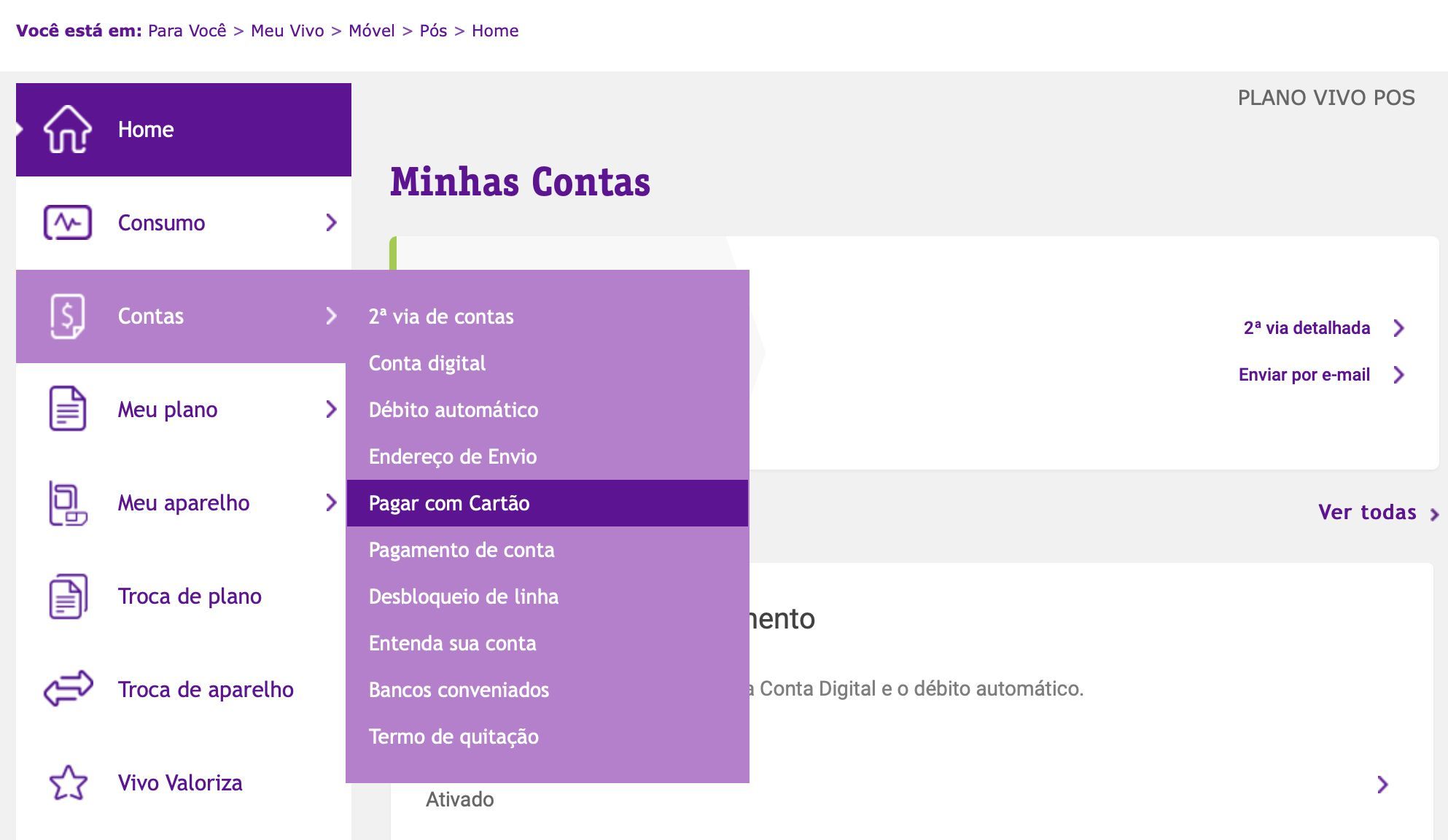 pagar com cartão vivo