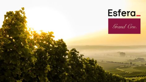 Esfera oferece até 7 pontos por real gasto em vinhos selecionados da Grand Cru