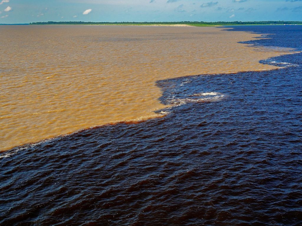 Manaus