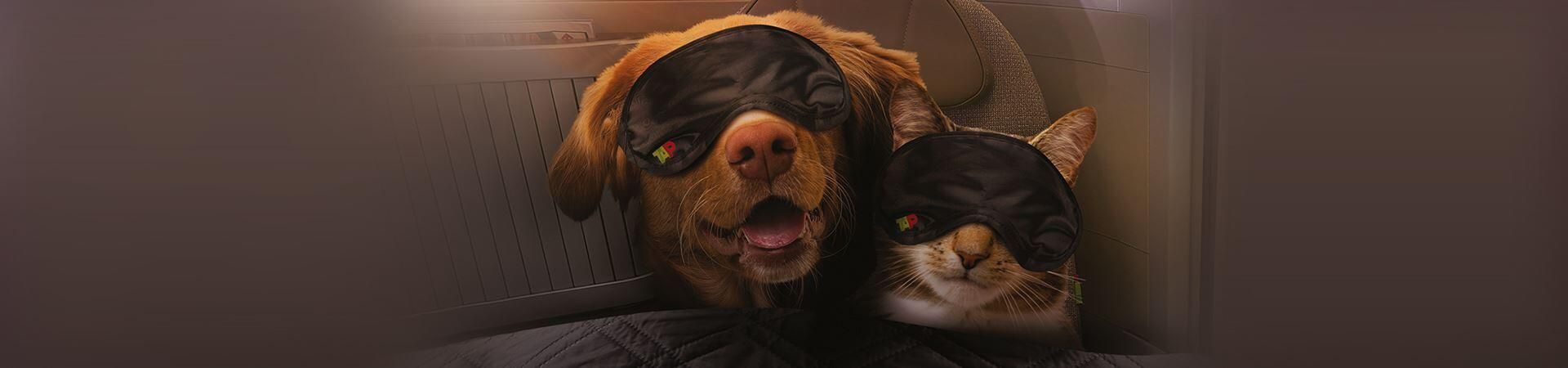tap miles&go pets