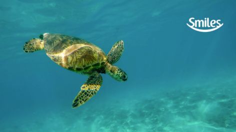 5 sugestões de resgates de trechos internacionais com milhas Smiles