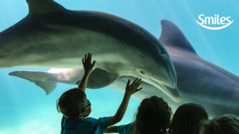 Shopping Smiles oferece até 7 milhas por real gasto em ingressos do grupo SeaWorld Parks