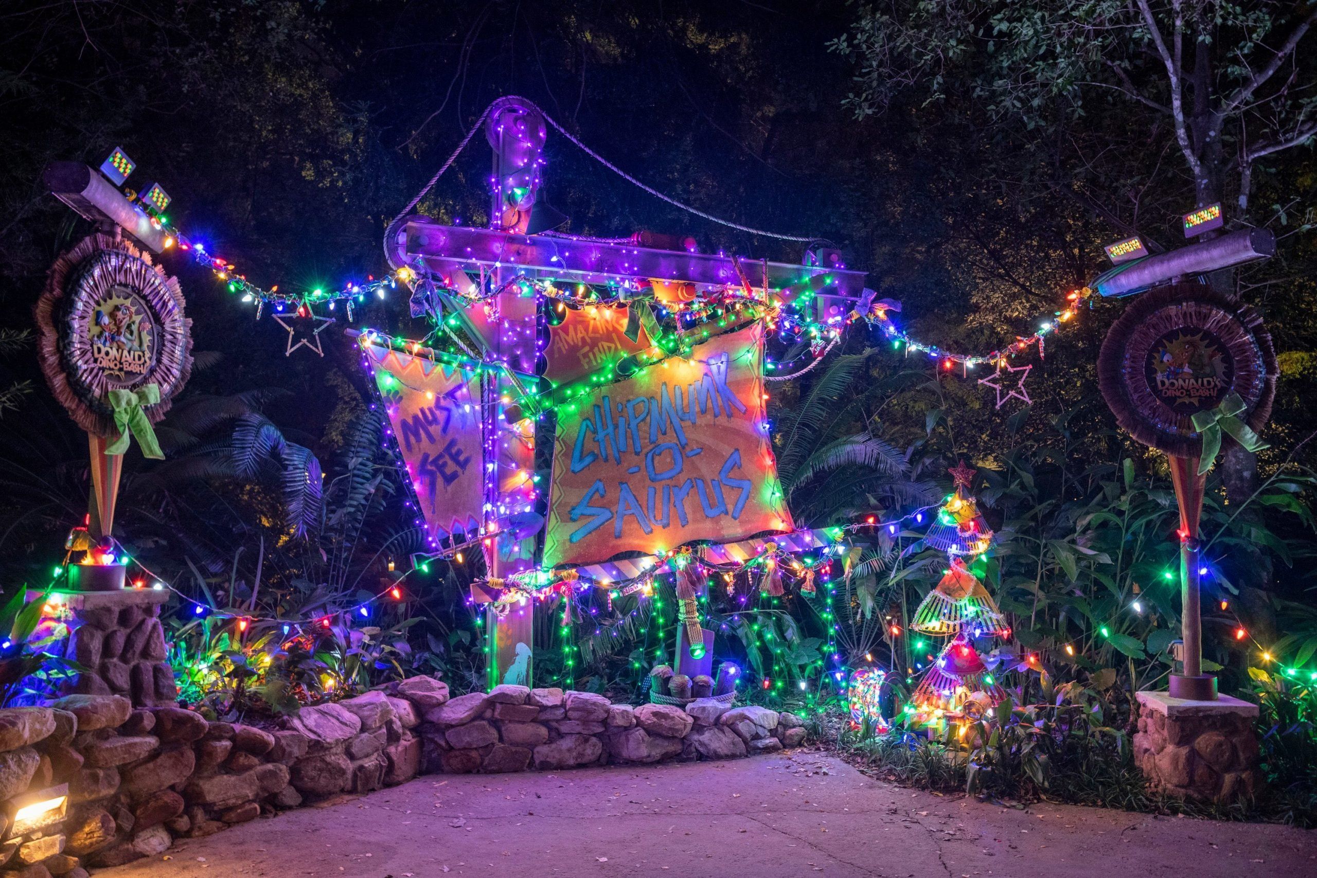 natal animal kingdom