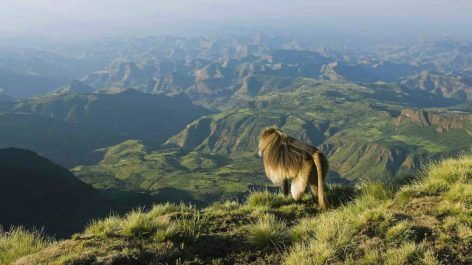 Como viajar para a Etiópia usando milhas e pontos