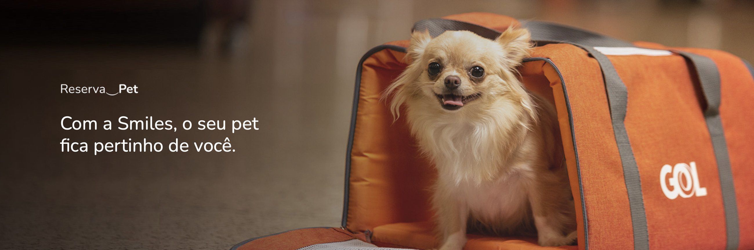 Pets smiles