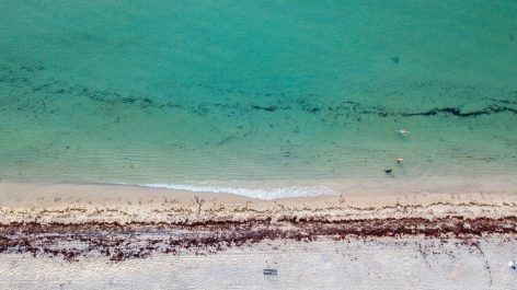 Alerta de disponibilidade! Recife para Fort Lauderdale a partir de 56.400 pontos + taxas