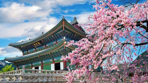 Como viajar para a Coreia do Sul usando milhas e pontos
