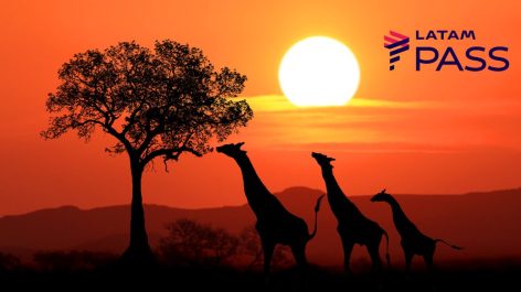 Como voar para a África do Sul pagando até 17% mais barato