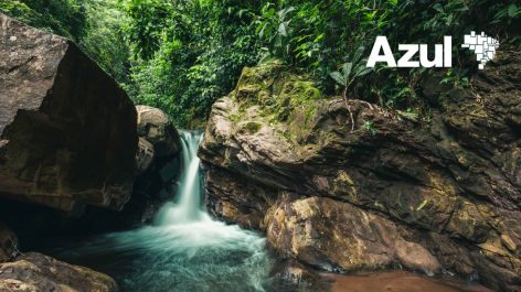 Partiu Amazônia? Azul tem voos do Sudeste para Manaus por apenas 9 mil pontos + taxas