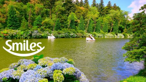 Assine o Clube Smiles e tenha milhas suficientes para emitir um trecho para Gramado na hora