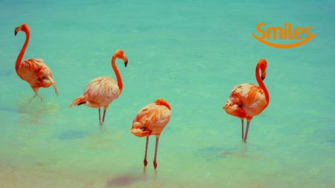 Voe do Rio de Janeiro para Aruba com a GOL por R$ 912 ou 55 mil milhas Smiles + taxas o trecho