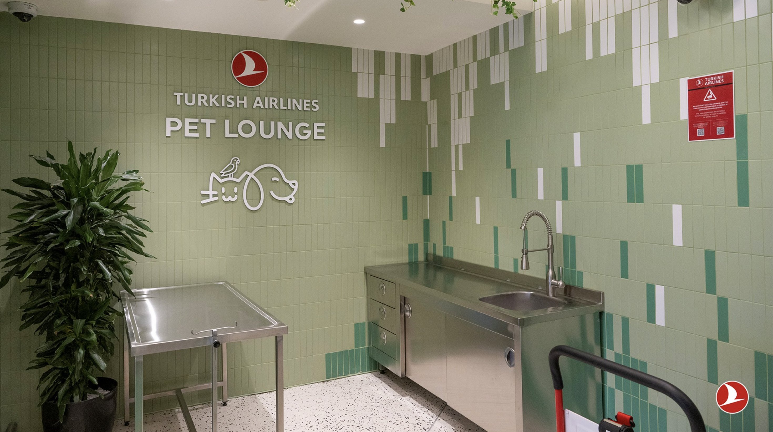 Lounge Pets Turkish Airlines