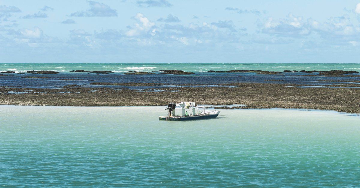 águas cristalinas maragogi