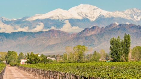 Alerta de disponibilidade! Mendoza a partir de 33.120 pontos Azul Fidelidade + taxas
