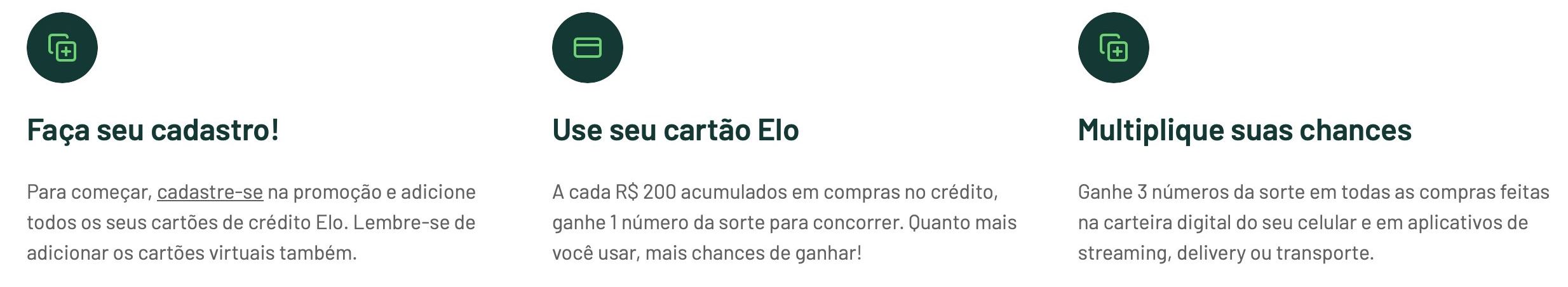 Elo Vida dos Sonhos