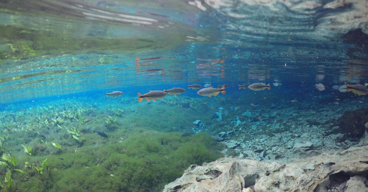 Bonito - mato grosso do sul