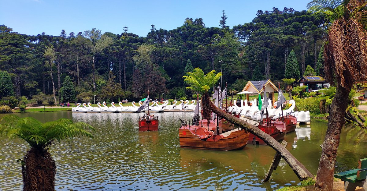 Lago negro em gramado