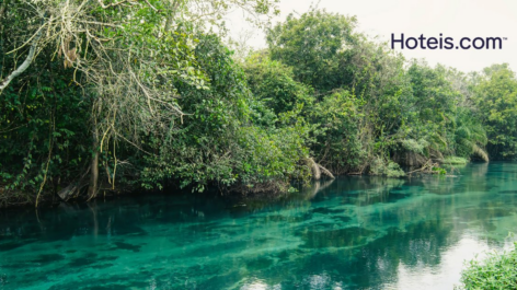 Hotéis em Bonito com até 20% de desconto + 8% off com nosso cupom exclusivo da Hoteis.com